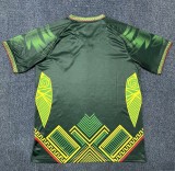 25-26 Mali Green Special Edition Fans Soccer Jersey