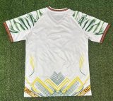 25-26 Mali Third Fans Soccer Jersey