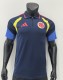 25-26 Colombia Special Edition Player Version Soccer Jersey