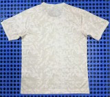 25-26 PSG Special Edition Fans Training shirts