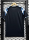 25-26 Argentina Special Edition Fans Soccer Jersey