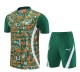 25-26 Côte d'Ivoire High Quality Training Short Suit