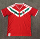 25-26 Wales Red Special Edition Fans Soccer Jersey