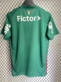 2026 Palmeiras Home Fans Soccer Jersey *全广告