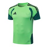 2026 AD Green High Quality Player Version Training Short Suit (球员套装)