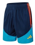 2026 AD Blue High Quality Player Version Training Short Suit (球员套装)