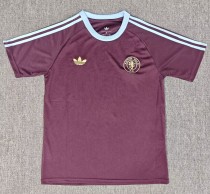 25-26 Aston Villa Training Shirts