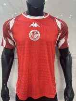 2026 Tunisia Home Leaked Edition Player Version Soccer Jersey