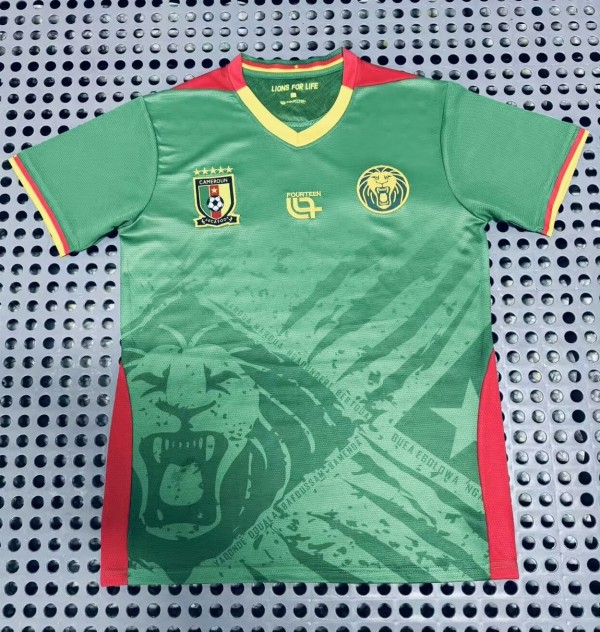 25-26 Cameroon Home Fans Soccer Jersey