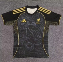25-26 Mexico Special Edition Fans Soccer Jersey