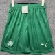 25-26 Palmeiras Away Shorts Pants