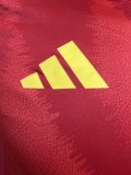 2024 Spain European Cup Home Player Version Soccer Jersey