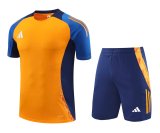 2024 AD Orange Training Short Suit