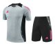 2024 AD Gray Training Short Suit