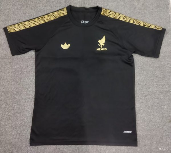 25-26 Mexico Gold Cup Black Fans Soccer Jersey