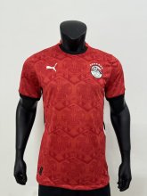 25-26 Egypt Home Players Soccer Jersey