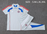 25-26 Bayern High Quality Polo Tracksuit