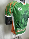 25-26 Cote d'Ivoire Green Special Edition Player Version Soccer Jersey