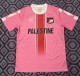 25-26 Palestine Special Edition Fans Soccer Jersey