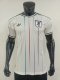 25-26 Japan Special Edition Player Version Soccer Jersey