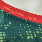 25-26 Cameroon Home Player Soccer Jersey