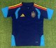 25-26 Spain Blue Fans Training shirts