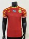25-26 Congo Special Edition Player Version Soccer Jersey