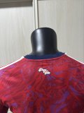 25-26 Costa Rica Home Player Version Soccer Jersey