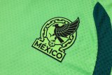 2026 Mexico Green High Quality Player Version Training Short Suit (球员套装)