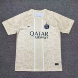 25-26 PSG Special Edition Fans Training shirts