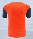 26-27 Bayern Orange Player Version Training shirts