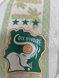 2026 Cote d'Ivoire Away Player Version Soccer Jersey