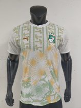 2026 Cote d'Ivoire Away Player Version Soccer Jersey