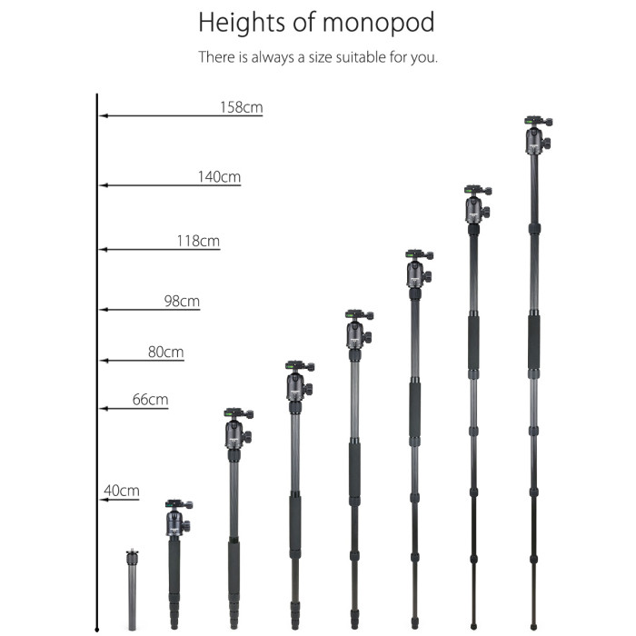 Carbon Fiber tripod monopod INNOREL RT50C