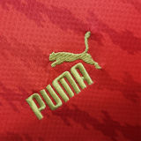 2023/24 Morocco Home Red Fans Soccer Jersey