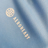 2023 Argentina Blue 3 Start Training Jersey 3星 背后有广告