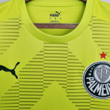 2022/23 Palmeiras Green GK Soccer Jersey