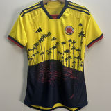 2023/24 Colombia Yellow Special Edition Fans Jersey