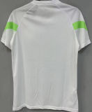 2023 Palmeiras White Training Jersey 圆领