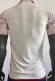 2022/23 Mexico Away Player Version Soccer Jersey