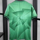 2023/24 Palmeiras Special Edition Green Jersey