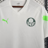 2023 Palmeiras White Training Jersey 圆领