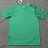 2022/23 Senegal Away Green Fans Soccer Jersey