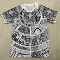 2023/24 Italy Special Edition Fans Soccer Jersey
