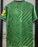 2023/24 Newcastle Away Green Fans Soccer Jersey