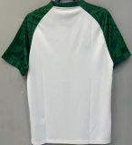 2023 Palmeiras White Green Training Jersey