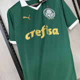 2024/25 Palmeiras 1:1 Quality Home Fans Jersey (All Sponsor 全广告)