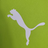 2023 Palmeiras Light Green Training Jersey