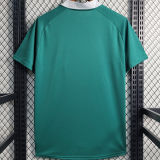 2023/24 Goiás Green Home Fans Soccer Jersey 戈亚斯