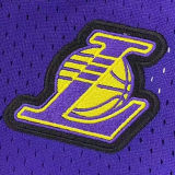 Lakers Stadium Purple Jersey